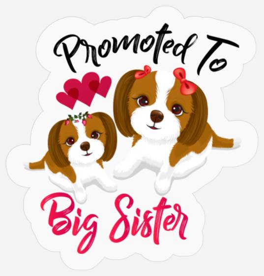 Puppy Dog Sister Stickers, Big Sister,Puppy
