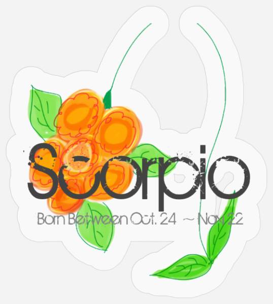 Scorpio Horoscope  November Birthday Yellow Stickers