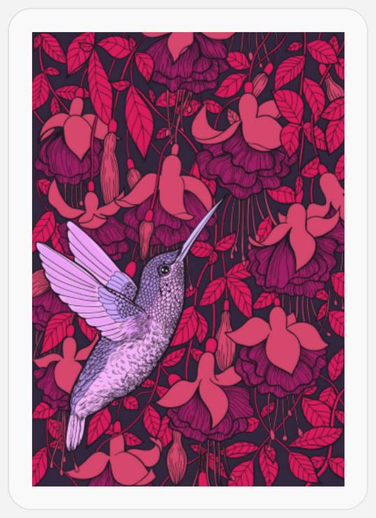 Hummingbird and fuchsia violet Stickers