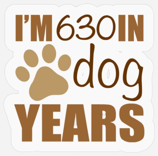 90th Birthday Dog Years Stickers